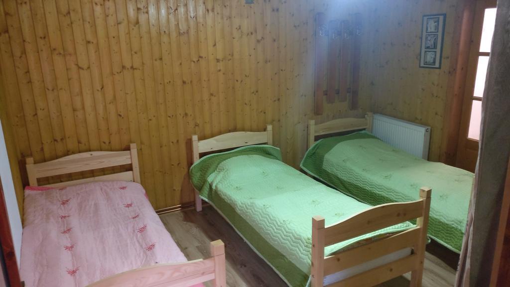 Pensiunea Liana Nemsa Экстерьер фото