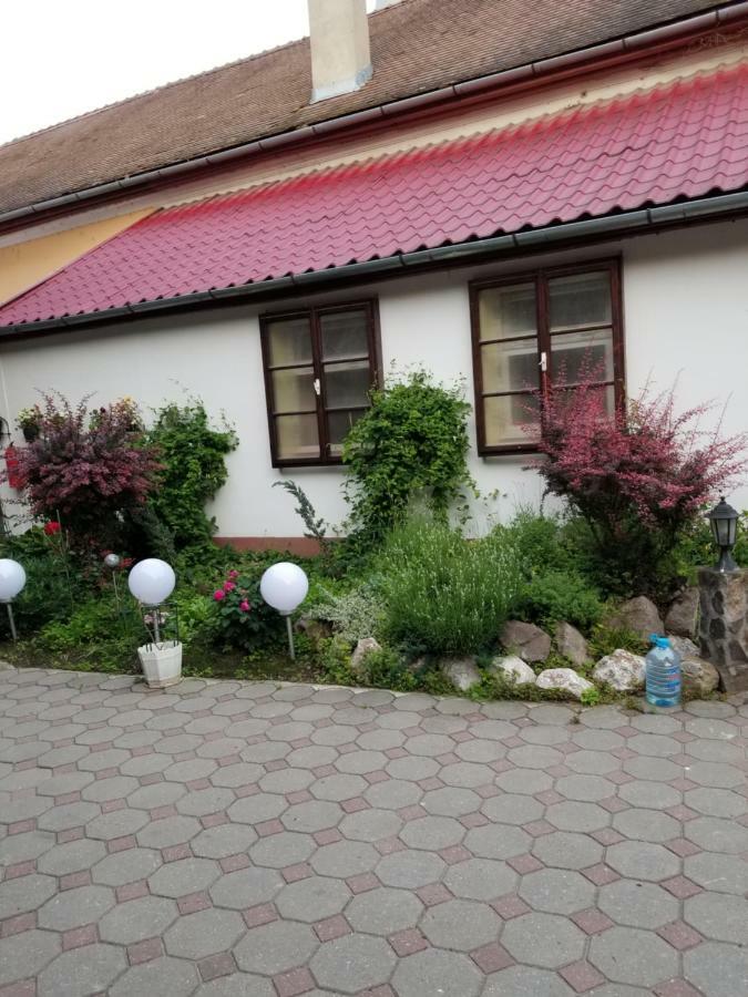 Pensiunea Liana Nemsa Экстерьер фото