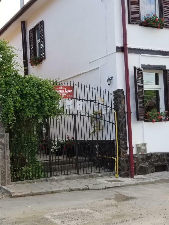 Pensiunea Liana Nemsa Экстерьер фото