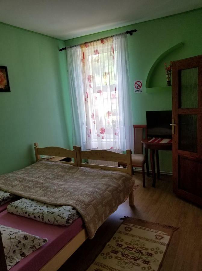 Pensiunea Liana Nemsa Экстерьер фото